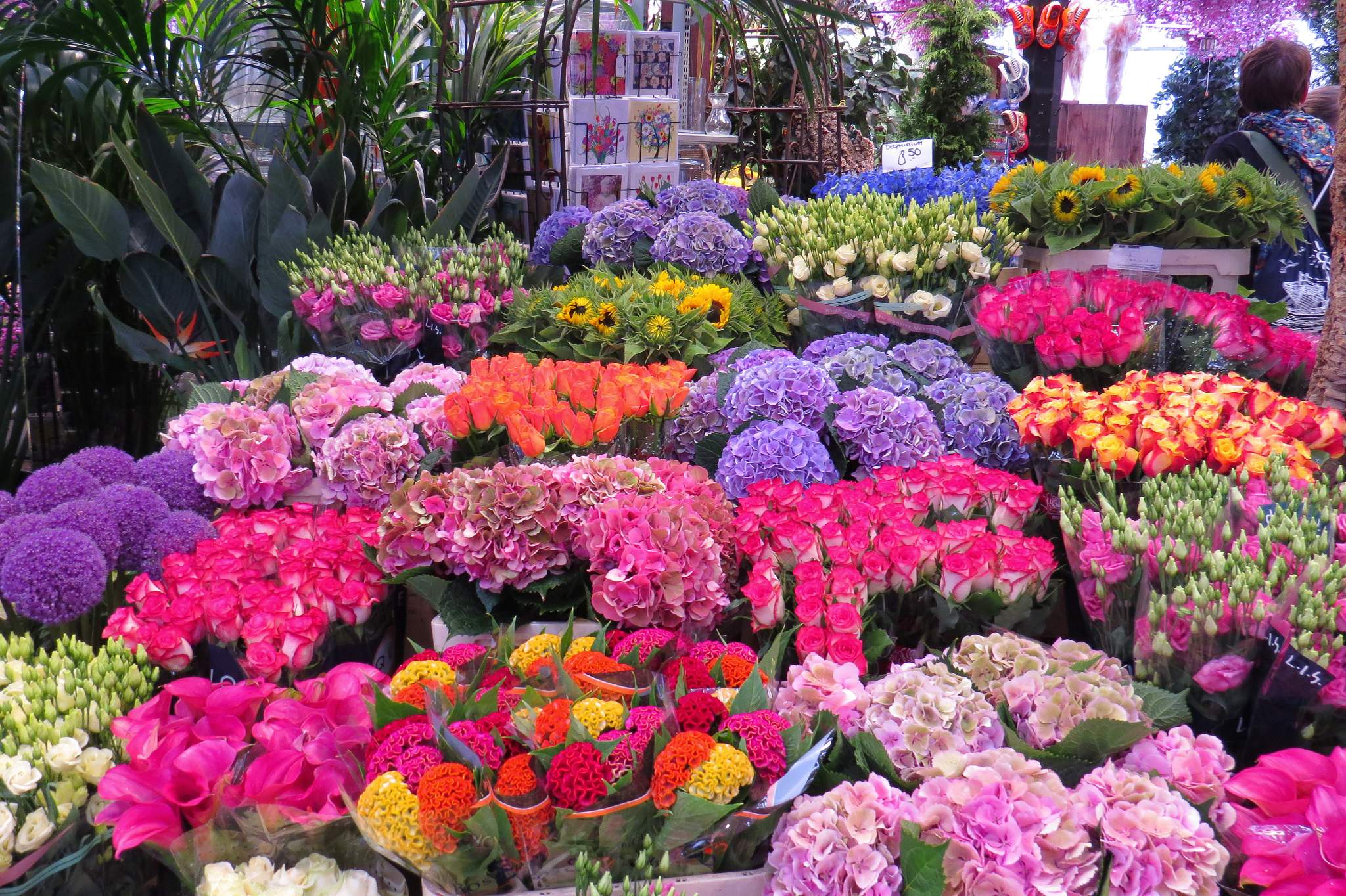 targ kwiatowy w Amsterdamie kwiaty