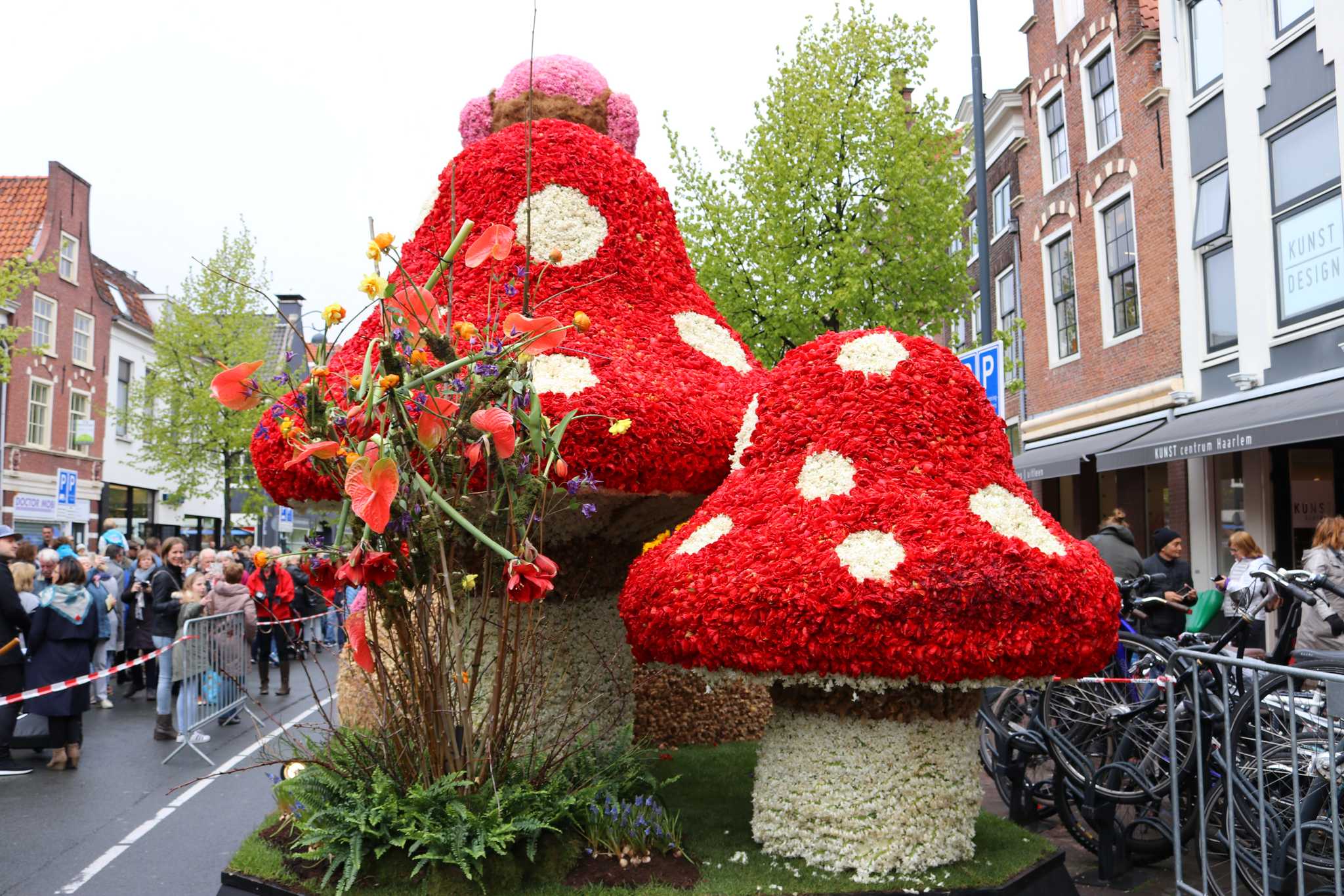 parada kwiatów w holandii