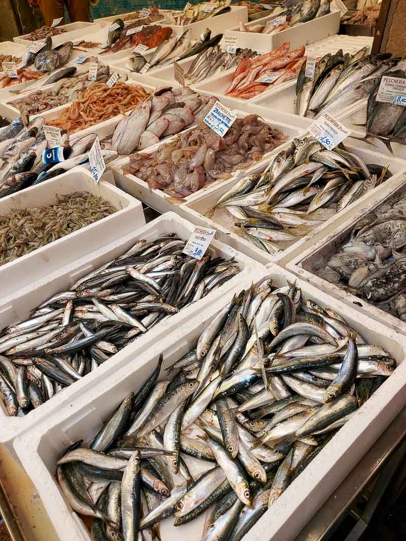 ryby targ w Bolonii