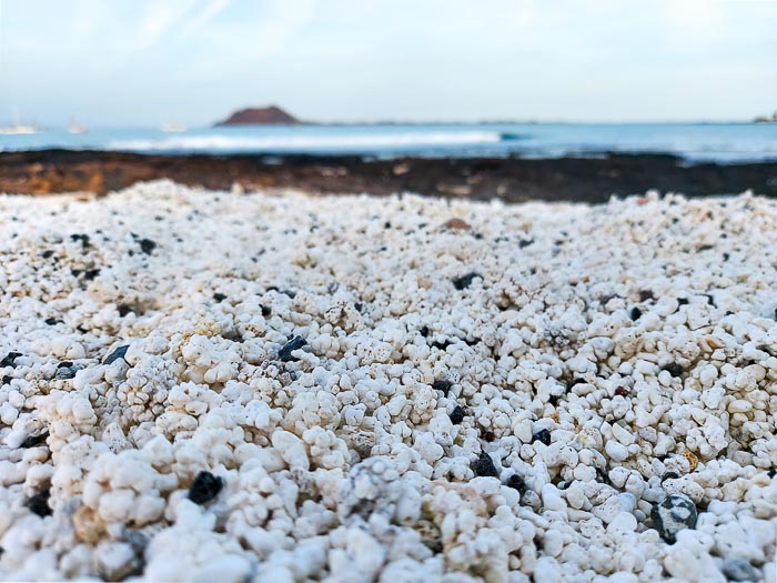 popcornowe plaże w Corralejo na Fueretevnturze