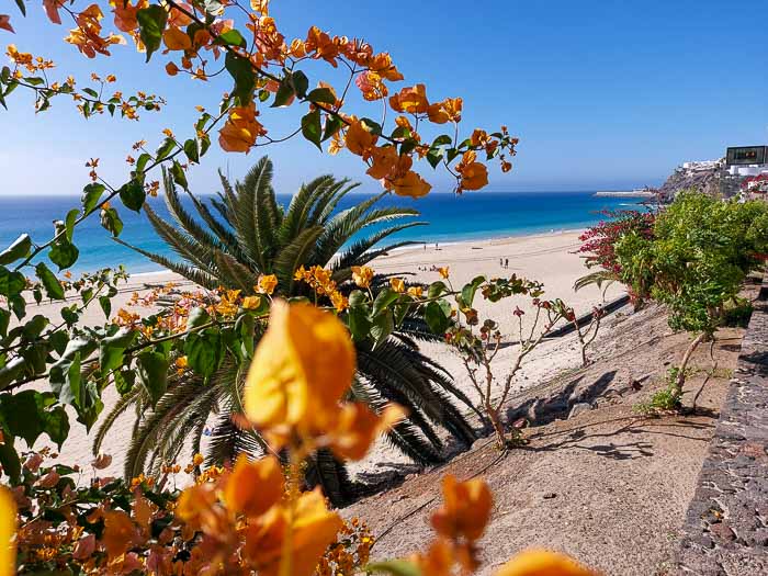 Fuerteventura plaża Morro Jable