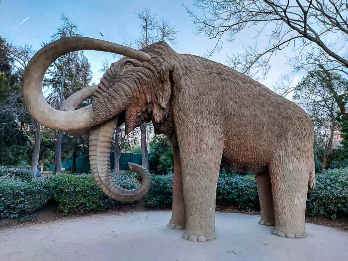 mamut atrakcje Barcelony dla dzieci