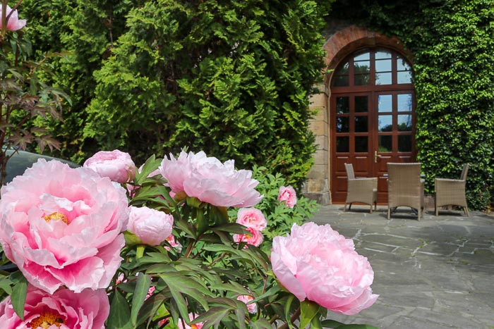 Manor House kwiaty park zieleń