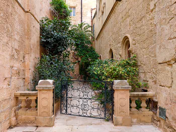 Mdina Malta uliczki roślinność