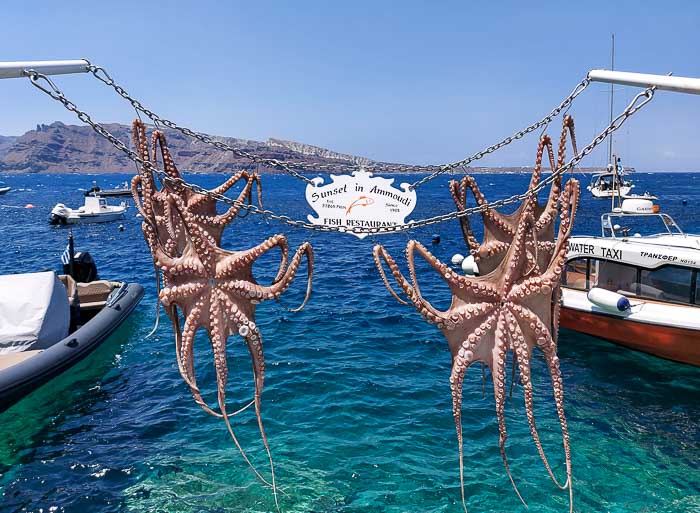 atrakcje Santorini ośmiornice Ammoudi Bay